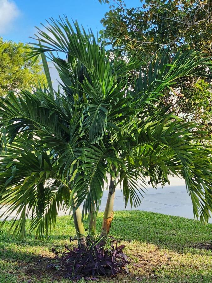 Апартаменты Lixylouis Minutes From Miami International Airport Princeton Экстерьер фото